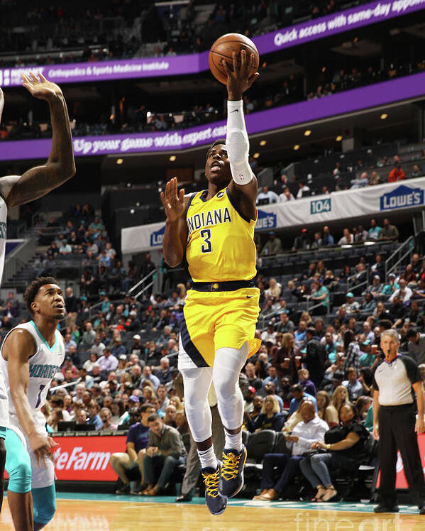 Nba Pro Basketball Poster featuring the photograph Indiana Pacers V Charlotte Hornets by Brock Williams-smith