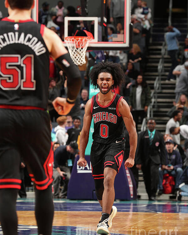 Coby White Poster featuring the photograph Chicago Bulls V Charlotte Hornets by Kent Smith