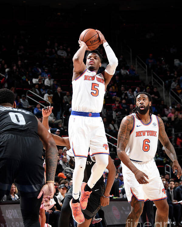 Nba Pro Basketball Poster featuring the photograph New York Knicks V Detroit Pistons by Chris Schwegler