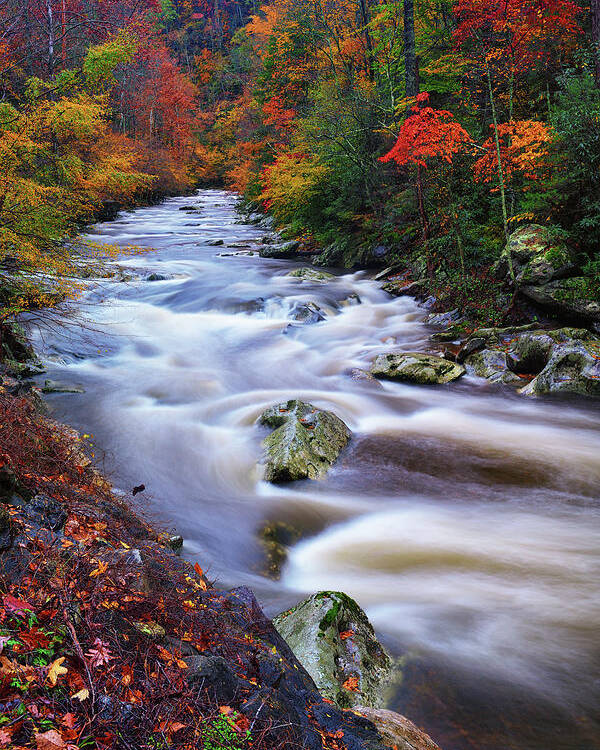 Great Smoky Mountains National Park Poster featuring the photograph A River Runs Through Autumn by Greg Norrell