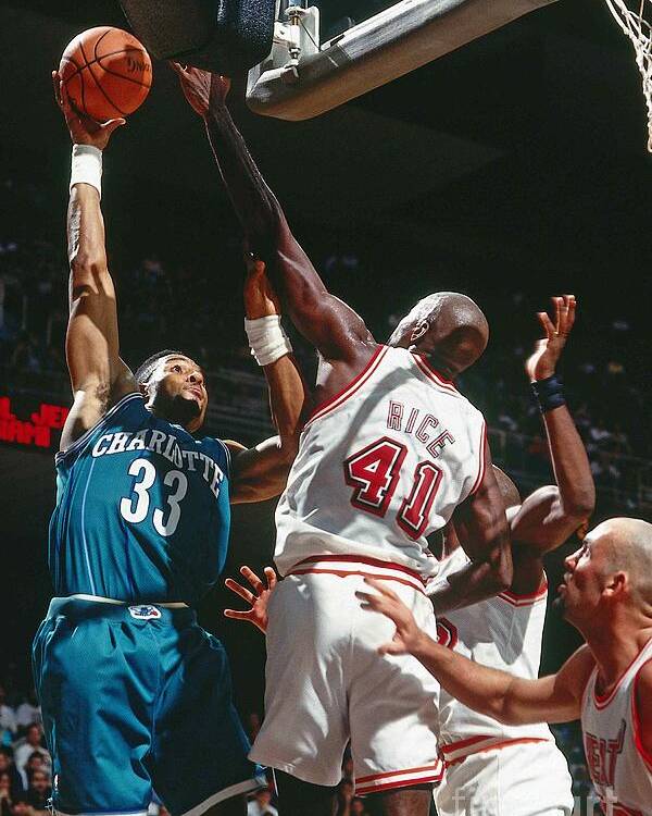 Alonzo Mourning Gallery