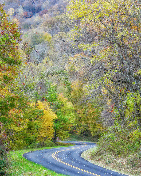 Blue Ridge Parkway Poster featuring the photograph Autumn Road 2 by Nunweiler Photography