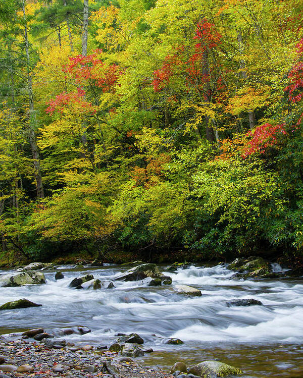 Autumn Poster featuring the photograph Autumn Stream by Larry Bohlin
