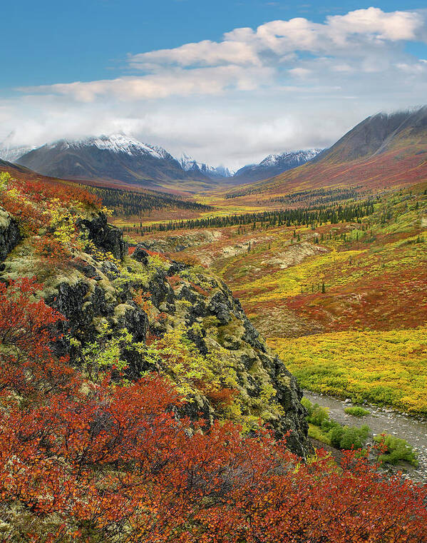 00586334 Poster featuring the photograph Autumn Tundra, Tombstone Range, Tombstone Territorial Park, Yukon by Tim Fitzharris