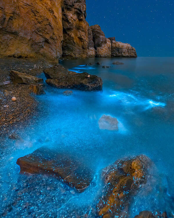 Bioluminescent Poster featuring the photograph Bioluminescent Bay by Hua Zhu