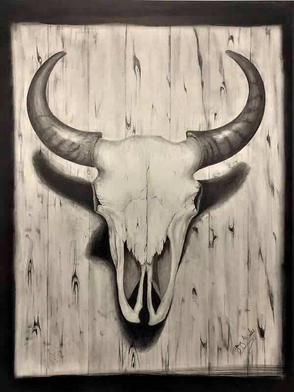 Bison Skull Poster featuring the drawing Bison Skull by Gregory Lee
