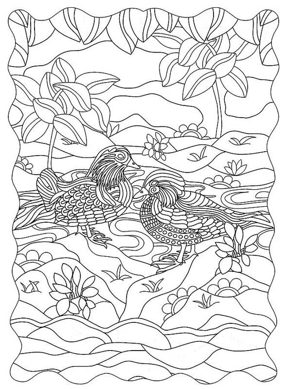 Darling Ducks Poster featuring the drawing Darling Ducks by Kathy G. Ahrens