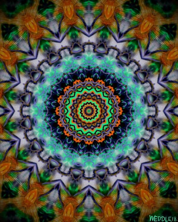 Mandala Poster featuring the digital art Electric Mandala by Angela Weddle