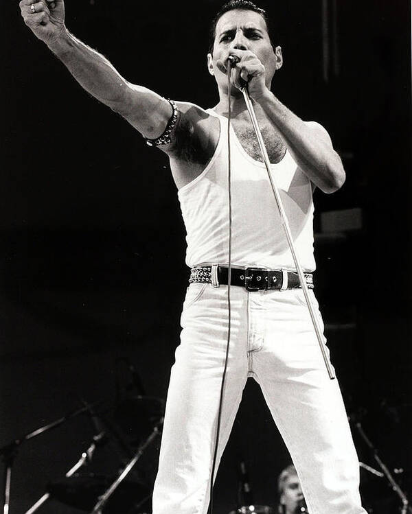 Freddie Mercuryrock Music1980-1989peopleone Man Onlymusichorn Of Africaenglandperformancecostumeethiopiacharity And Relief Workadults Onlycelebritieslive Aidwembleyvitalityarchivaladultarts Culture And Entertainmentincidental Peopleone Personqueenband Poster featuring the photograph Entertainmentmusic. Live Aid Concert by Popperfoto