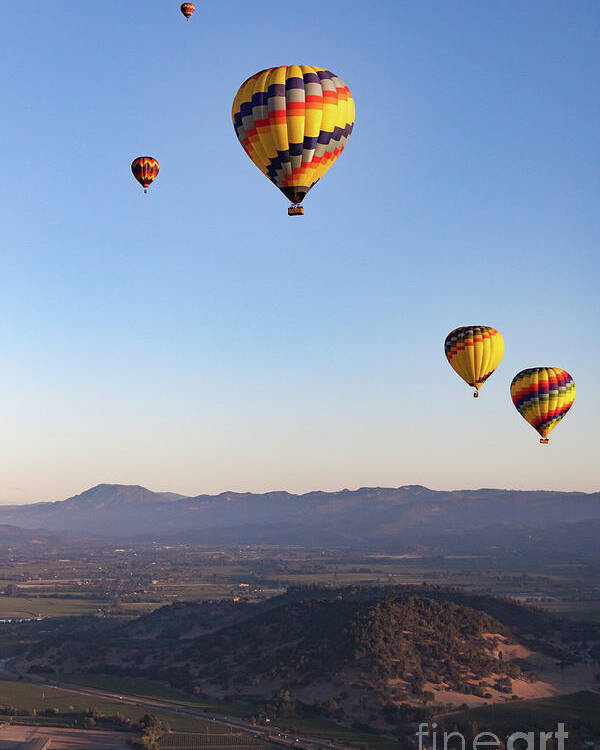 Hot Air Balloon Poster featuring the photograph Five Balloons by Ana V Ramirez
