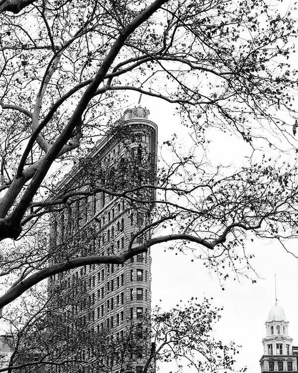 Flat Iron Poster featuring the photograph Flat Iron Through the Trees by Cate Franklyn