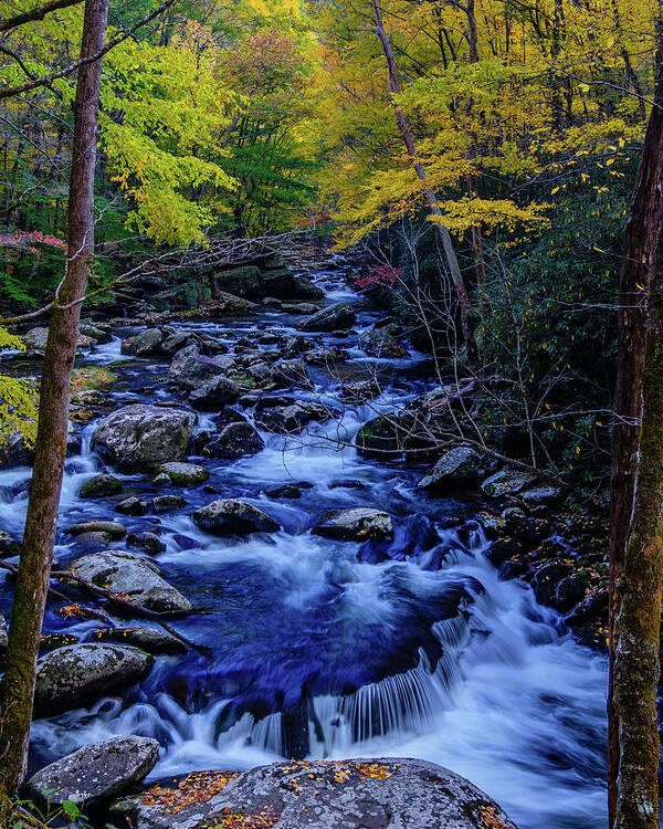Fall Colors And Waterfall Poster featuring the photograph Flat Rock On Tremont by Johnny Boyd