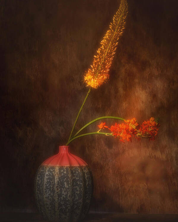 Flowers Poster featuring the photograph Flower Dream by Saskia Dingemans