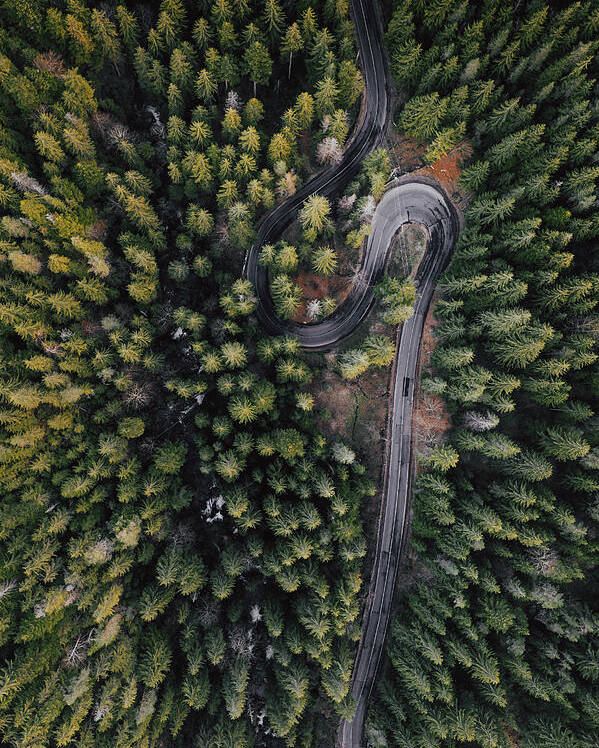 Drone Poster featuring the photograph Forest Vibes by Angyalosi Beáta
