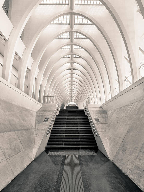 Hallway Poster featuring the photograph Inside Calatrava by Oscar Lopez