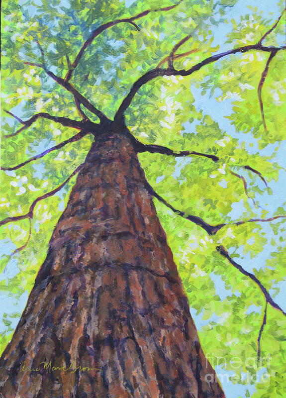 Tree Poster featuring the painting Joyce Kilmer Tree by Anne Marie Brown