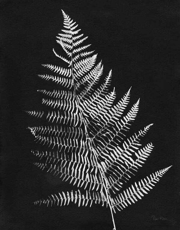 Black And White Poster featuring the painting Nature By The Lake Ferns Vi Black Crop by Piper Rhue
