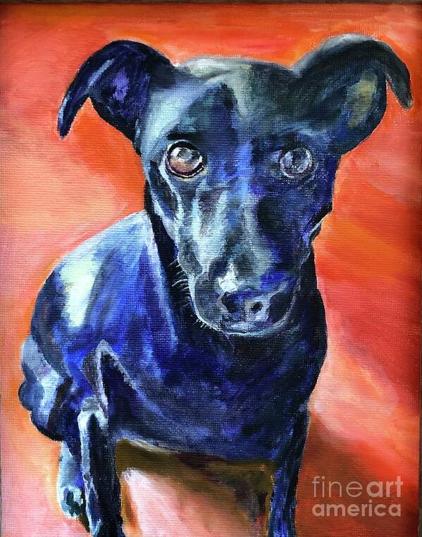 Dog Poster featuring the painting Peter by Kate Conaboy