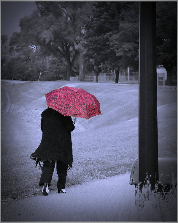  Poster featuring the photograph Red Umbrella by Jack Wilson