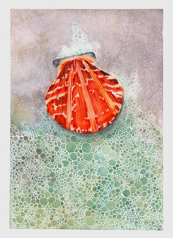 Calico Scallop Poster featuring the painting Scallop Shell by Hilda Wagner