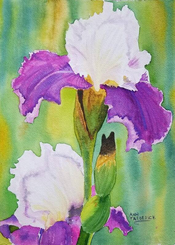 Iris Poster featuring the painting Spring Iris by Ann Frederick