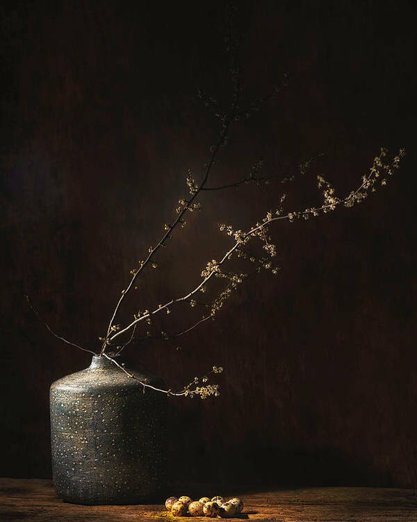 Decoration Poster featuring the photograph Still Life With Blossom And Eggs by Saskia Dingemans