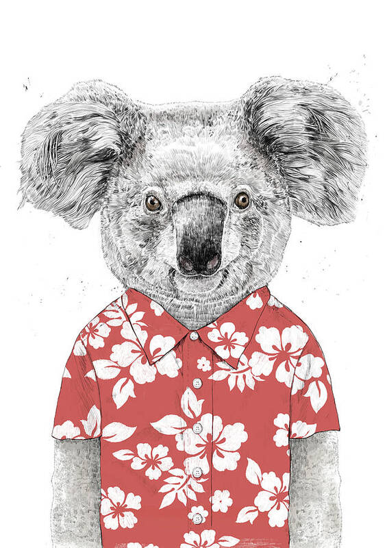 Koala Poster featuring the drawing Summer koala by Balazs Solti