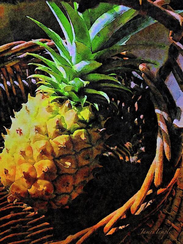 Hawaiian Pineapple Poster featuring the digital art Tasting Hawaii by James Temple