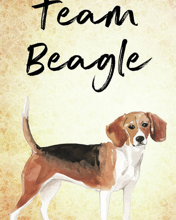 Beagle Poster featuring the painting Team Beagle cute Art for Dog lovers by Matthias Hauser