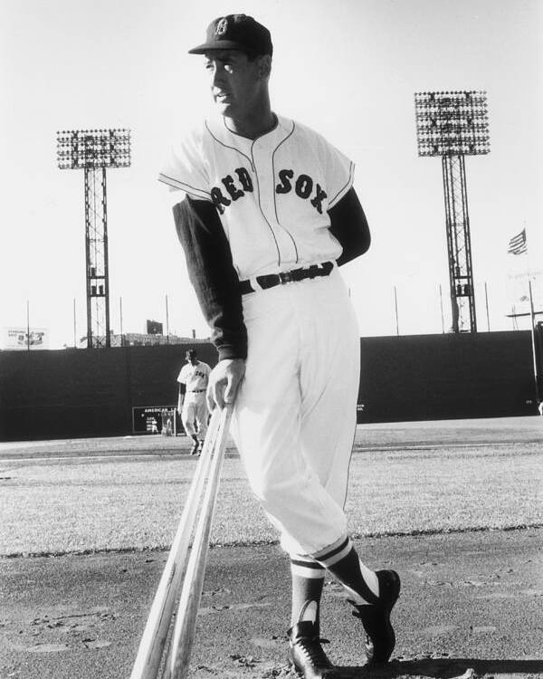 Ted Williams - Baseball Player Poster featuring the photograph Ted Williams by Slim Aarons