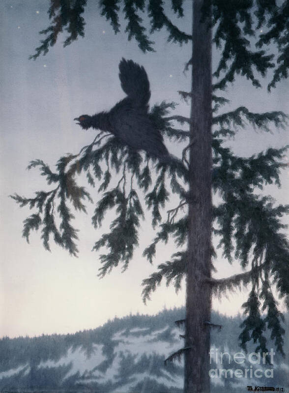 Theodor Kittelsen Poster featuring the painting The male capercaillie plays by O Vaering by Theodor Kittelsen