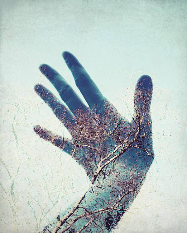 Hand Poster featuring the photograph Touch the Sky by Lupen Grainne