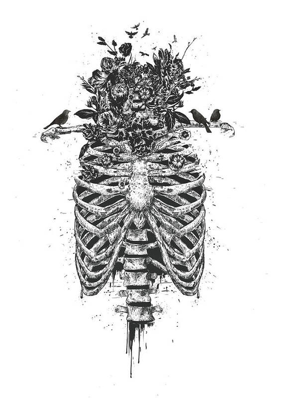 Skeleton Poster featuring the drawing Tree of life by Balazs Solti