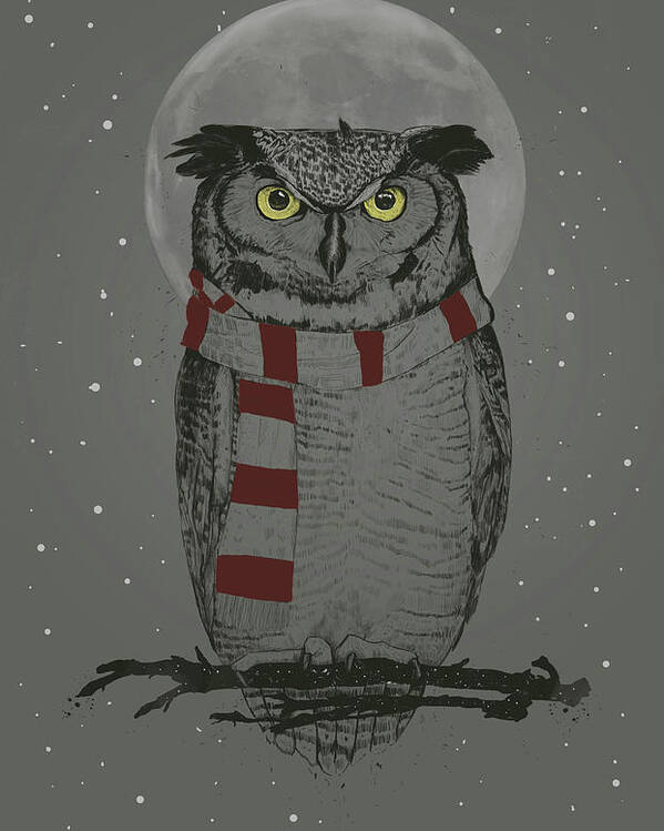 Owl Poster featuring the mixed media Winter owl by Balazs Solti