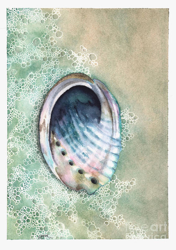 Abalone Poster featuring the painting Abalone by Hilda Wagner