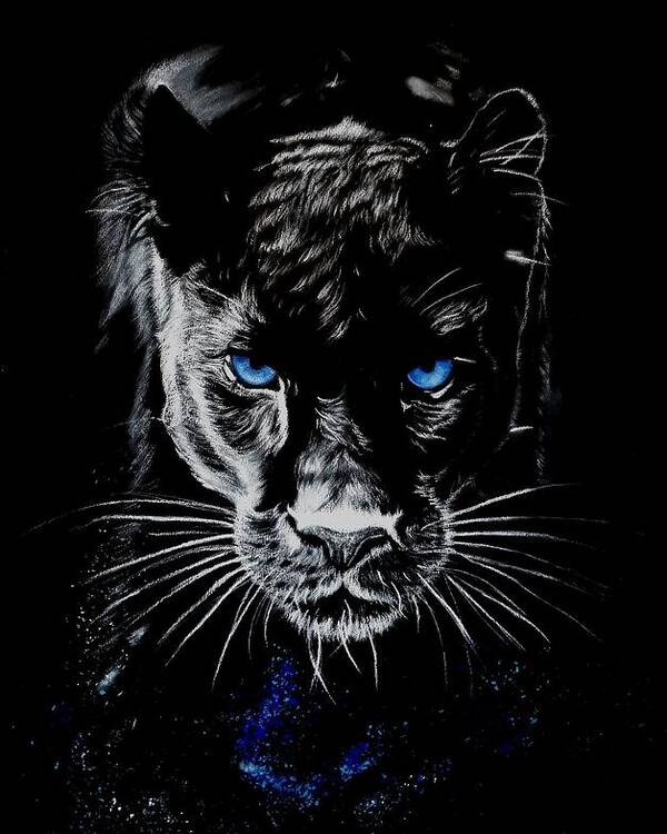 Panther Poster by Piece Of HeArt Pixels