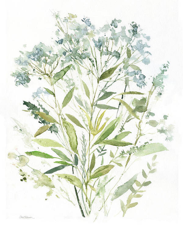 Watercolor Wild Flower Blue Green Weeds Queen Anne's Lace Botanical Contemporary Poster featuring the painting Garden Lace 1 #1 by Carol Robinson