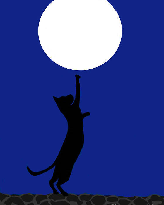 Black Cat Poster featuring the digital art Reaching for the moon by Elaine Hayward