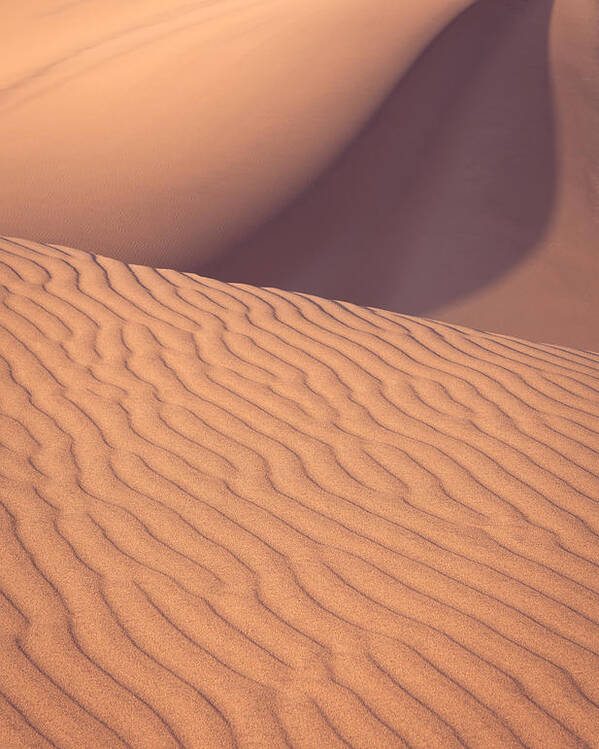 Sand Dunes Poster featuring the photograph Sand Dune with Movement by Peter Boehringer
