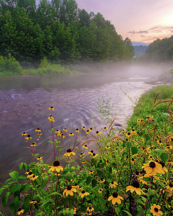Wildflowers Poster featuring the photograph Little Piney Creek by Robert Charity