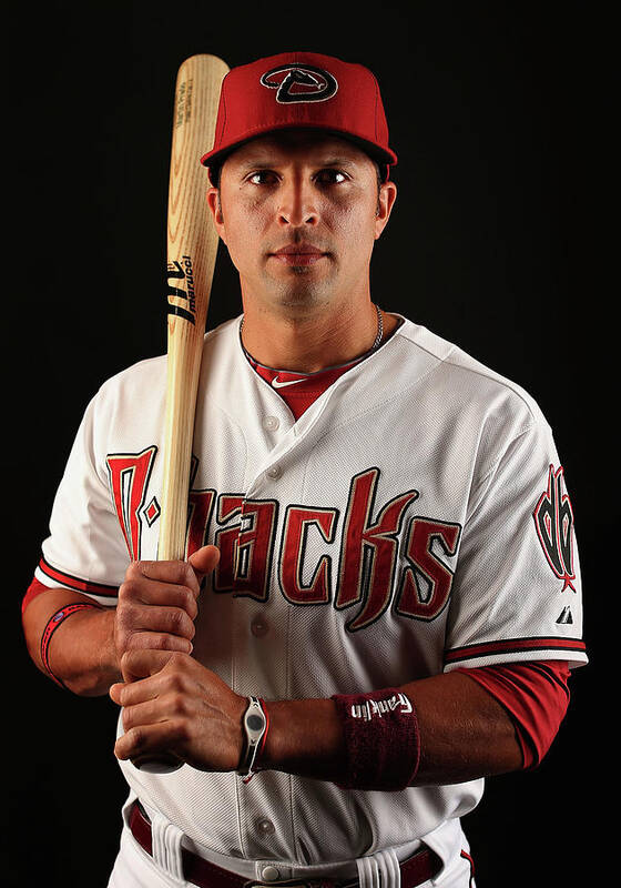 Media Day Poster featuring the photograph Martin Prado by Christian Petersen