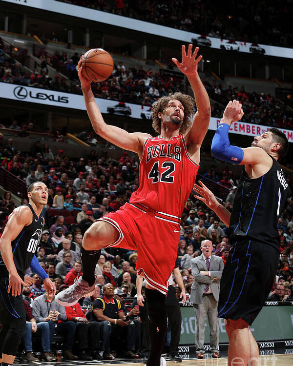 Nba Pro Basketball Poster featuring the photograph Robin Lopez by Gary Dineen