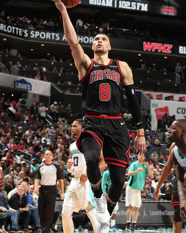 Zach Lavine 4 Poster for Sale by ElenaGeorge