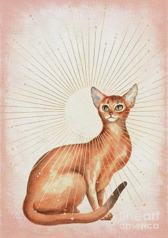 Abyssinian Cat Poster featuring the painting Abyssinian Cat by Garden Of Delights