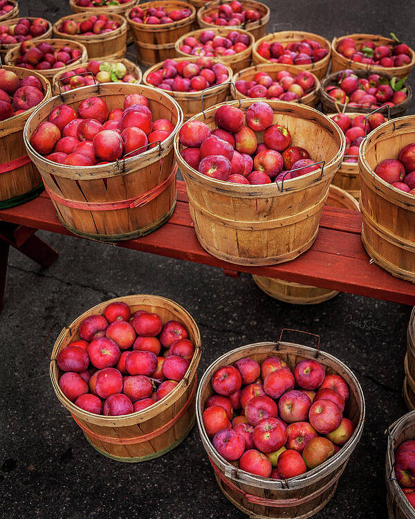 Farmers Market Poster featuring the photograph Apple Baskets by Craig J Satterlee