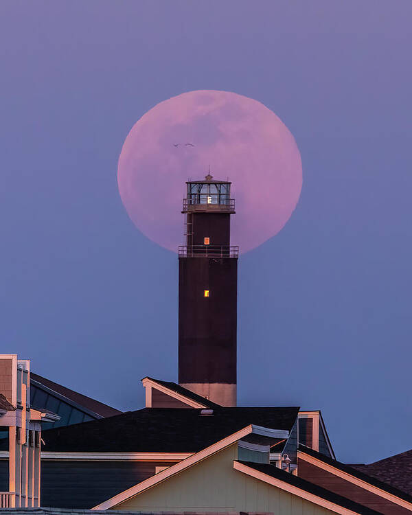 Fullmoon Poster featuring the photograph April Pink Supermoon by Nick Noble
