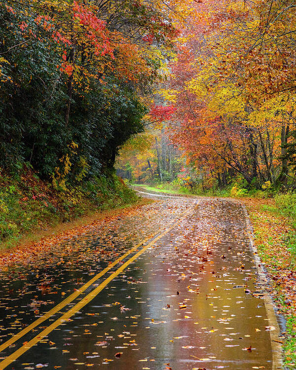 Carolina Poster featuring the photograph Autumn Drive II by Debra and Dave Vanderlaan