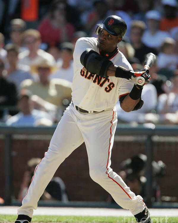 San Francisco Poster featuring the photograph Barry Bonds by Brad Mangin