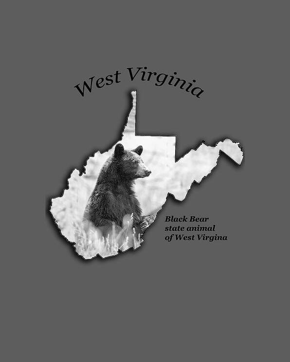 Black Bear Poster featuring the photograph Black Bear WV state animal by Dan Friend