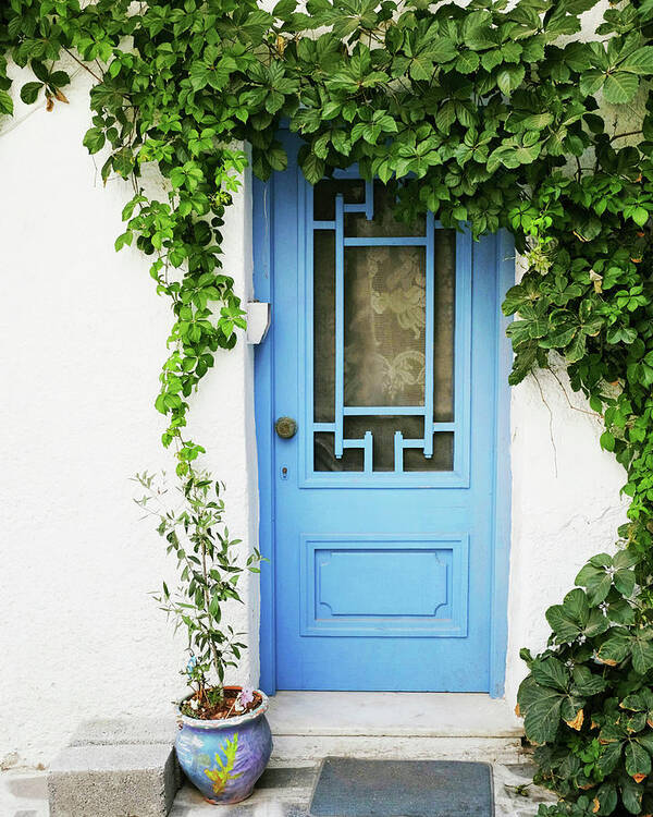 Greece Poster featuring the photograph Blue Door and Vine by Lupen Grainne